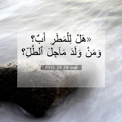 Picture 07 - أَيُّوبَ 38:28 AVD - «هَلْ لِلْمَطَرِ أَبٌ؟ - Bible Verse Picture