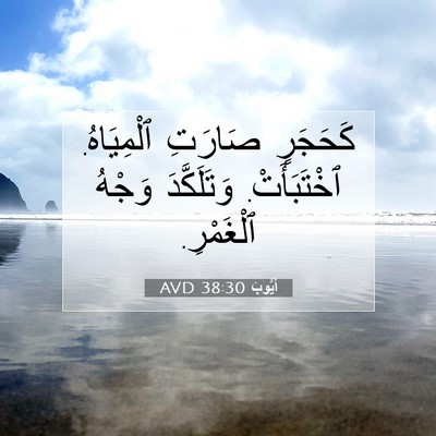 Picture 07 - أَيُّوبَ 38:30 AVD - كَحَجَرٍ صَارَتِ - Bible Verse Picture