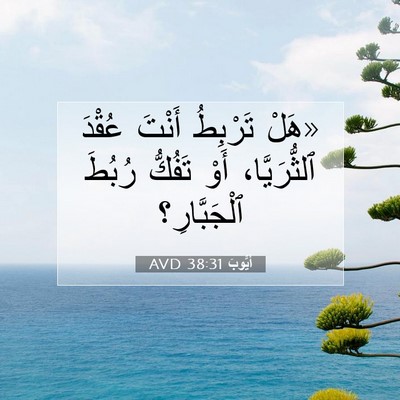 Picture 07 - أَيُّوبَ 38:31 AVD - «هَلْ تَرْبِطُ أَنْتَ - Bible Verse Picture