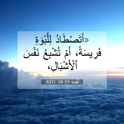 Picture 07 - أَيُّوبَ 38:39 AVD - «أَتَصْطَادُ لِلَّبْوَةِ - Bible Verse Picture