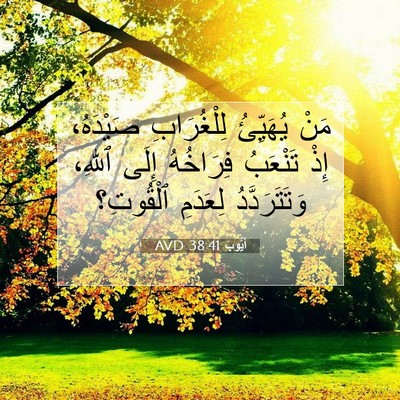 Picture 07 - أَيُّوبَ 38:41 AVD - مَنْ يُهَيِّئُ - Bible Verse Picture