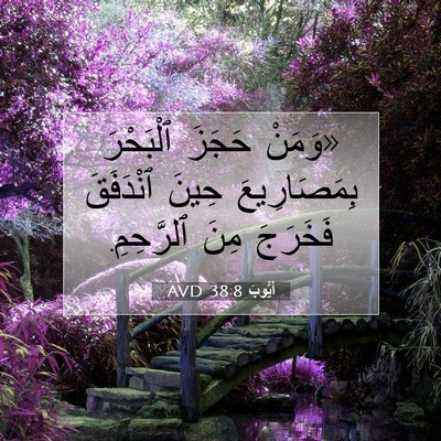 Picture 07 - أَيُّوبَ 38:8 AVD - «وَمَنْ حَجَزَ ٱلْبَحْرَ - Bible Verse Picture