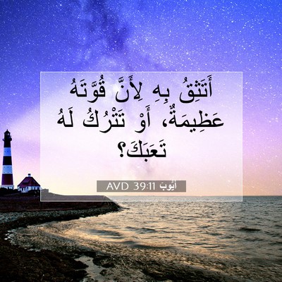 Picture 07 - أَيُّوبَ 39:11 AVD - أَتَثِقُ بِهِ لِأَنَّ - Bible Verse Picture