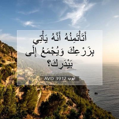 Picture 07 - أَيُّوبَ 39:12 AVD - أَتَأْتَمِنُهُ أَنَّهُ - Bible Verse Picture