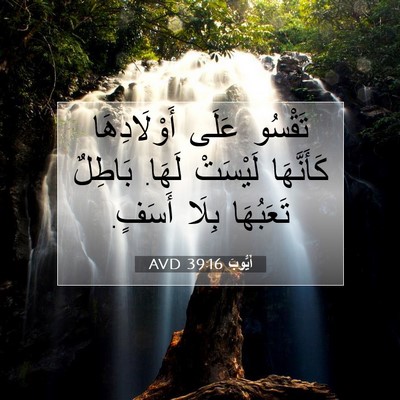 Picture 07 - أَيُّوبَ 39:16 AVD - تَقْسُو عَلَى - Bible Verse Picture
