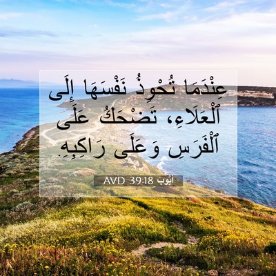 Picture 07 - أَيُّوبَ 39:18 AVD - عِنْدَمَا تُحْوِذُ - Bible Verse Picture