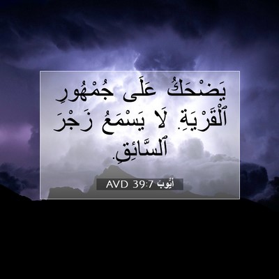 Picture 07 - أَيُّوبَ 39:7 AVD - يَضْحَكُ عَلَى جُمْهُورِ - Bible Verse Picture