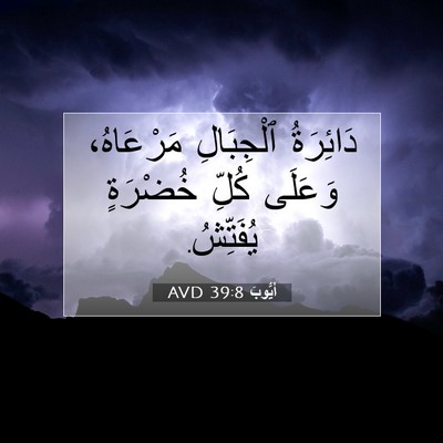 Picture 07 - أَيُّوبَ 39:8 AVD - دَائِرَةُ ٱلْجِبَالِ - Bible Verse Picture