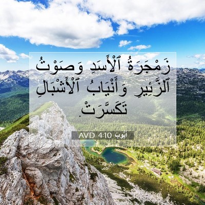Picture 07 - أَيُّوبَ 4:10 AVD - زَمْجَرَةُ ٱلْأَسَدِ - Bible Verse Picture