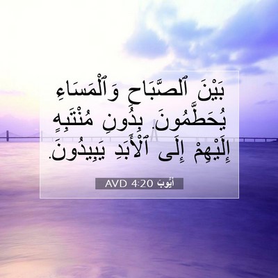 Picture 07 - أَيُّوبَ 4:20 AVD - بَيْنَ ٱلصَّبَاحِ - Bible Verse Picture