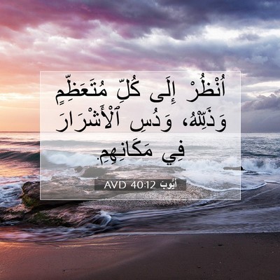 Picture 07 - أَيُّوبَ 40:12 AVD - اُنْظُرْ إِلَى كُلِّ - Bible Verse Picture
