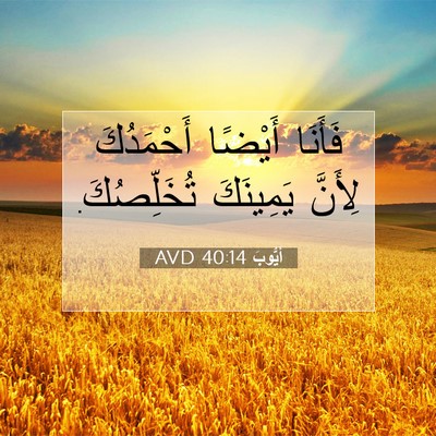 Picture 07 - أَيُّوبَ 40:14 AVD - فَأَنَا أَيْضًا - Bible Verse Picture
