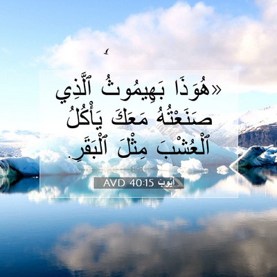 Picture 07 - أَيُّوبَ 40:15 AVD - «هُوَذَا بَهِيمُوثُ - Bible Verse Picture