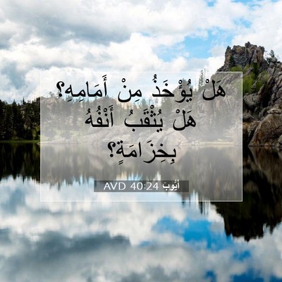 Picture 07 - أَيُّوبَ 40:24 AVD - هَلْ يُؤْخَذُ مِنْ - Bible Verse Picture