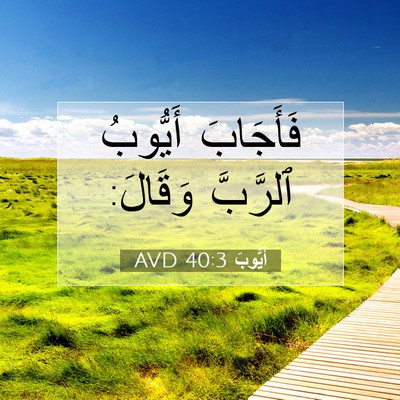 Picture 07 - أَيُّوبَ 40:3 AVD - فَأَجَابَ أَيُّوبُ - Bible Verse Picture