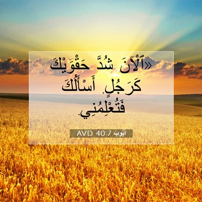 Picture 07 - أَيُّوبَ 40:7 AVD - «ٱلْآنَ شُدَّ حَقْوَيْكَ - Bible Verse Picture