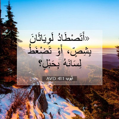 Picture 07 - أَيُّوبَ 41:1 AVD - «أَتَصْطَادُ لَوِيَاثَانَ - Bible Verse Picture