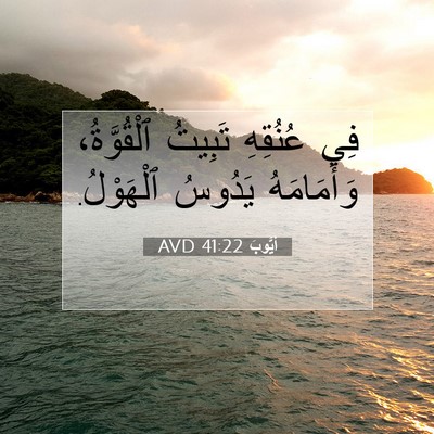 Picture 07 - أَيُّوبَ 41:22 AVD - فِي عُنُقِهِ تَبِيتُ - Bible Verse Picture