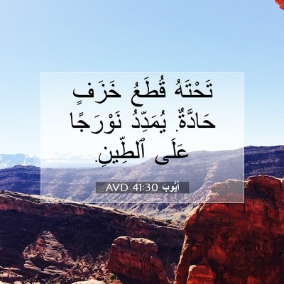 Picture 07 - أَيُّوبَ 41:30 AVD - تَحْتَهُ قُطَعُ خَزَفٍ - Bible Verse Picture