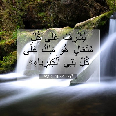 Picture 07 - أَيُّوبَ 41:34 AVD - يُشْرِفُ عَلَى كُلِّ - Bible Verse Picture