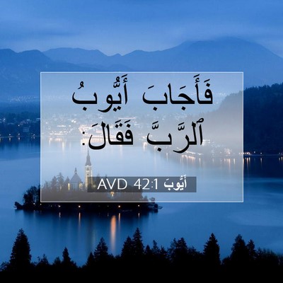 Picture 07 - أَيُّوبَ 42:1 AVD - فَأَجَابَ أَيُّوبُ - Bible Verse Picture