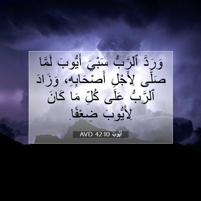Picture 07 - أَيُّوبَ 42:10 AVD - وَرَدَّ ٱلرَّبُّ سَبْيَ - Bible Verse Picture