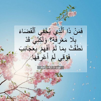 Picture 07 - أَيُّوبَ 42:3 AVD - فَمَنْ ذَا ٱلَّذِي يُخْفِي - Bible Verse Picture