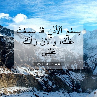 Picture 07 - أَيُّوبَ 42:5 AVD - بِسَمْعِ ٱلْأُذُنِ قَدْ - Bible Verse Picture