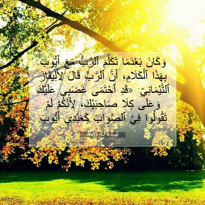 Picture 07 - أَيُّوبَ 42:7 AVD - وَكَانَ بَعْدَمَا - Bible Verse Picture