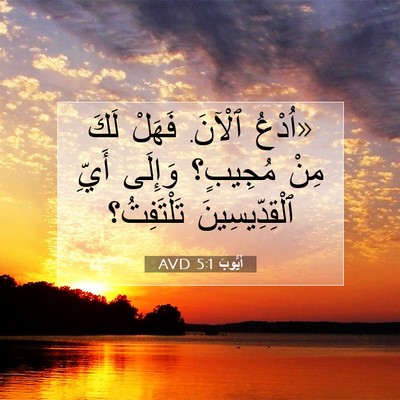Picture 07 - أَيُّوبَ 5:1 AVD - «اُدْعُ ٱلْآنَ. فَهَلْ - Bible Verse Picture