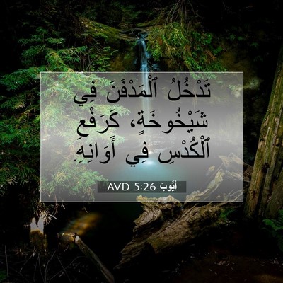 Picture 07 - أَيُّوبَ 5:26 AVD - تَدْخُلُ ٱلْمَدْفَنَ فِي - Bible Verse Picture