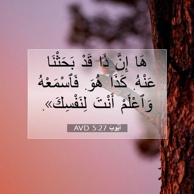 Picture 07 - أَيُّوبَ 5:27 AVD - هَا إِنَّ ذَا قَدْ - Bible Verse Picture