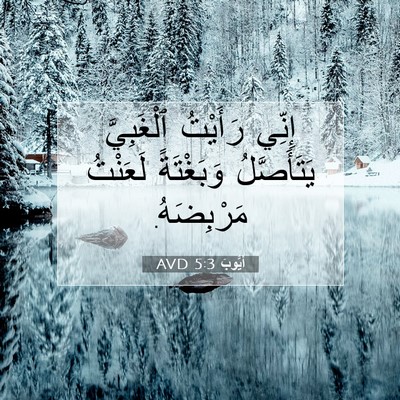 Picture 07 - أَيُّوبَ 5:3 AVD - إِنِّي رَأَيْتُ - Bible Verse Picture