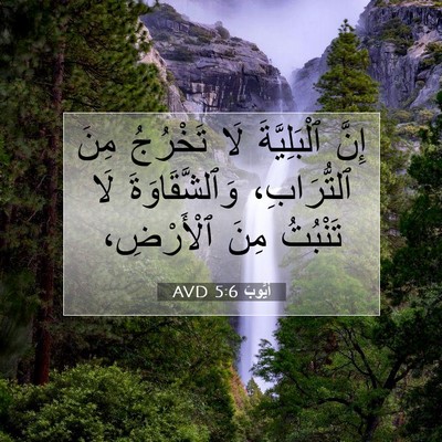 Picture 07 - أَيُّوبَ 5:6 AVD - إِنَّ ٱلْبَلِيَّةَ لَا - Bible Verse Picture