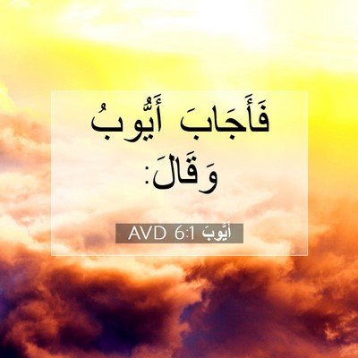 Picture 07 - أَيُّوبَ 6:1 AVD - فَأَجَابَ أَيُّوبُ - Bible Verse Picture