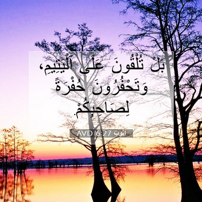 Picture 07 - أَيُّوبَ 6:27 AVD - بَلْ تُلْقُونَ عَلَى - Bible Verse Picture
