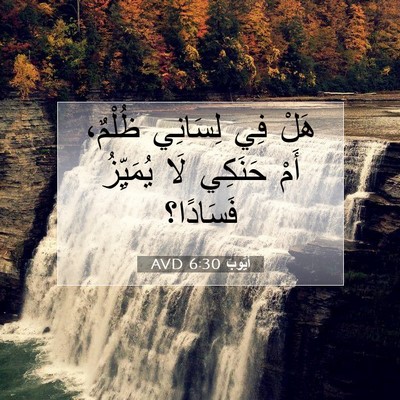 Picture 07 - أَيُّوبَ 6:30 AVD - هَلْ فِي لِسَانِي ظُلْمٌ، - Bible Verse Picture