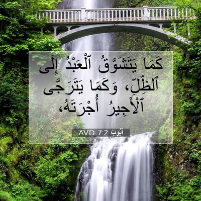 Picture 07 - أَيُّوبَ 7:2 AVD - كَمَا يَتَشَوَّقُ - Bible Verse Picture