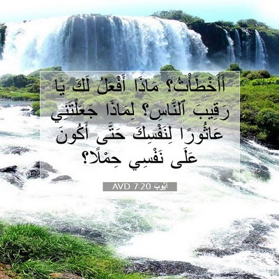Picture 07 - أَيُّوبَ 7:20 AVD - أَأَخْطَأْتُ؟ مَاذَا - Bible Verse Picture