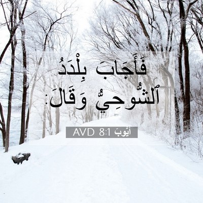 Picture 07 - أَيُّوبَ 8:1 AVD - فَأَجَابَ بِلْدَدُ - Bible Verse Picture