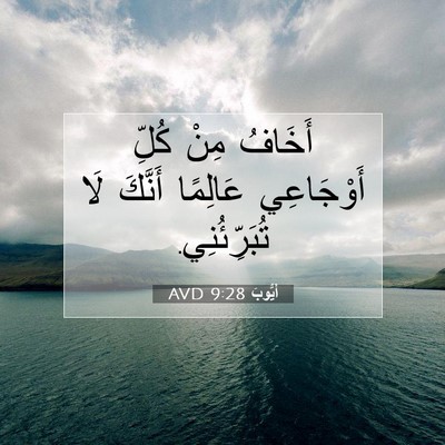 Picture 07 - أَيُّوبَ 9:28 AVD - أَخَافُ مِنْ كُلِّ - Bible Verse Picture