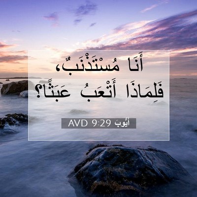 Picture 07 - أَيُّوبَ 9:29 AVD - أَنَا مُسْتَذْنَبٌ، - Bible Verse Picture