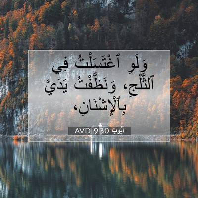 Picture 07 - أَيُّوبَ 9:30 AVD - وَلَوِ ٱغْتَسَلْتُ فِي - Bible Verse Picture
