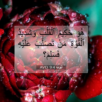 Picture 07 - أَيُّوبَ 9:4 AVD - هُوَ حَكِيمُ ٱلْقَلْبِ - Bible Verse Picture