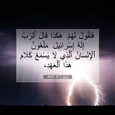 Picture 07 - إِرْمِيَا 11:3 AVD - فَتَقُولُ لَهُمْ: هَكَذَا - Bible Verse Picture