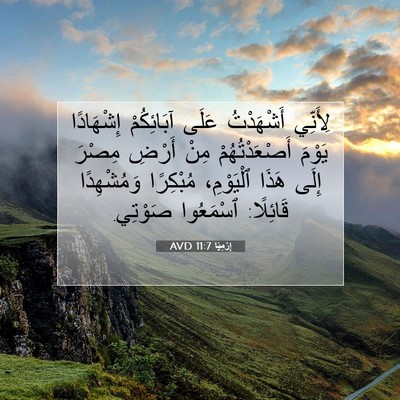 Picture 07 - إِرْمِيَا 11:7 AVD - لِأَنِّي أَشْهَدْتُ عَلَى - Bible Verse Picture