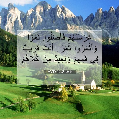 Picture 07 - إِرْمِيَا 12:2 AVD - غَرَسْتَهُمْ فَأَصَّلُوا. - Bible Verse Picture