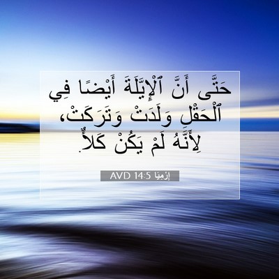 Picture 07 - إِرْمِيَا 14:5 AVD - حَتَّى أَنَّ ٱلْإِيَّلَةَ - Bible Verse Picture