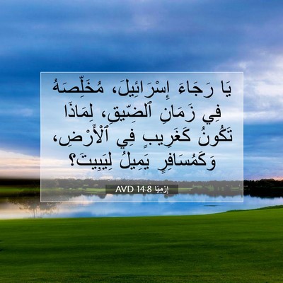Picture 07 - إِرْمِيَا 14:8 AVD - يَا رَجَاءَ إِسْرَائِيلَ، - Bible Verse Picture