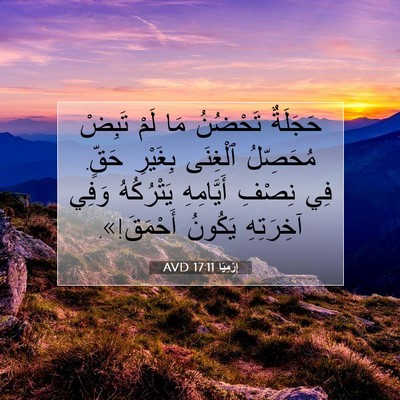 Picture 07 - إِرْمِيَا 17:11 AVD - حَجَلَةٌ تَحْضُنُ مَا لَمْ - Bible Verse Picture